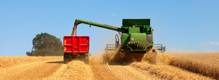 moisson dans champ