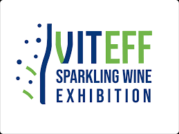 Salon VITEFF Epernay Scopix